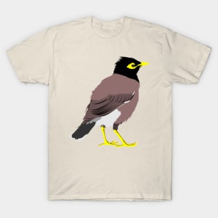 Common Myna T-Shirt